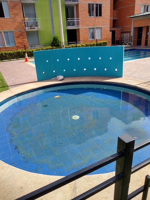 Apartamento de 3 alcobas en arriendo en Bocono, Villa del Rosario, 46 m² · foto 22 de 24