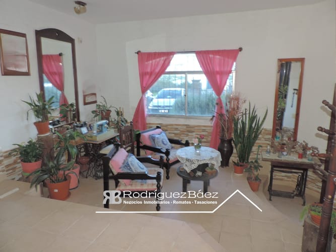 VENTA CASA 3 DORMITORIOS 3 BAÑOS GARAJE GRAN JARDIN VERDE BARROS BLANCOS - foto 5