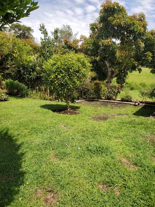 Casa de 3 alcobas en venta en Pontezuela, Rionegro, 1350 m² · foto 8 de 24