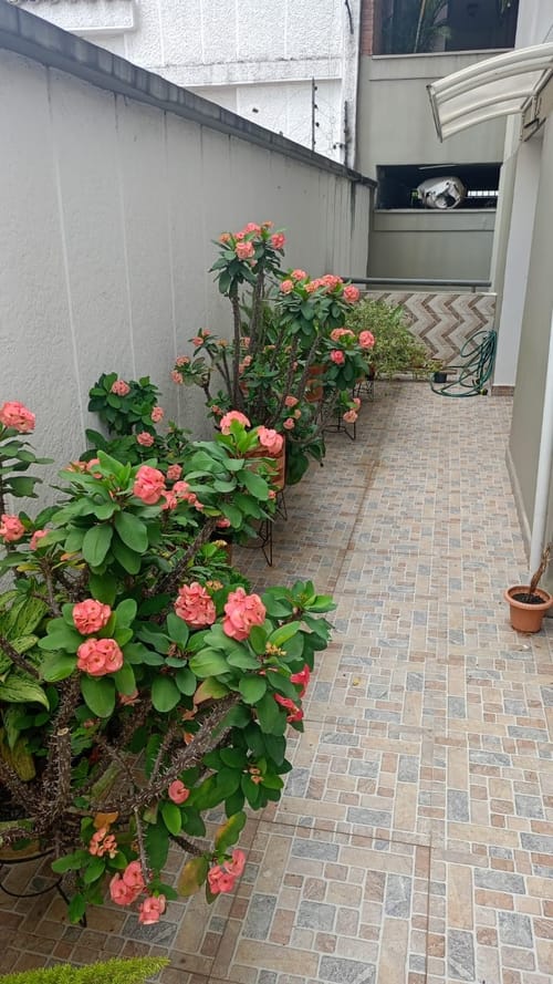Apartamento de 3 alcobas en venta en Cabecera Del Llano, Bucaramanga, 171 m² · foto 14 de 15