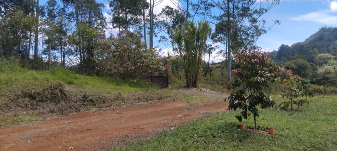 Casa de 4 alcobas en arriendo en San Nicolas, La Ceja, 200 m² · foto 17 de 24