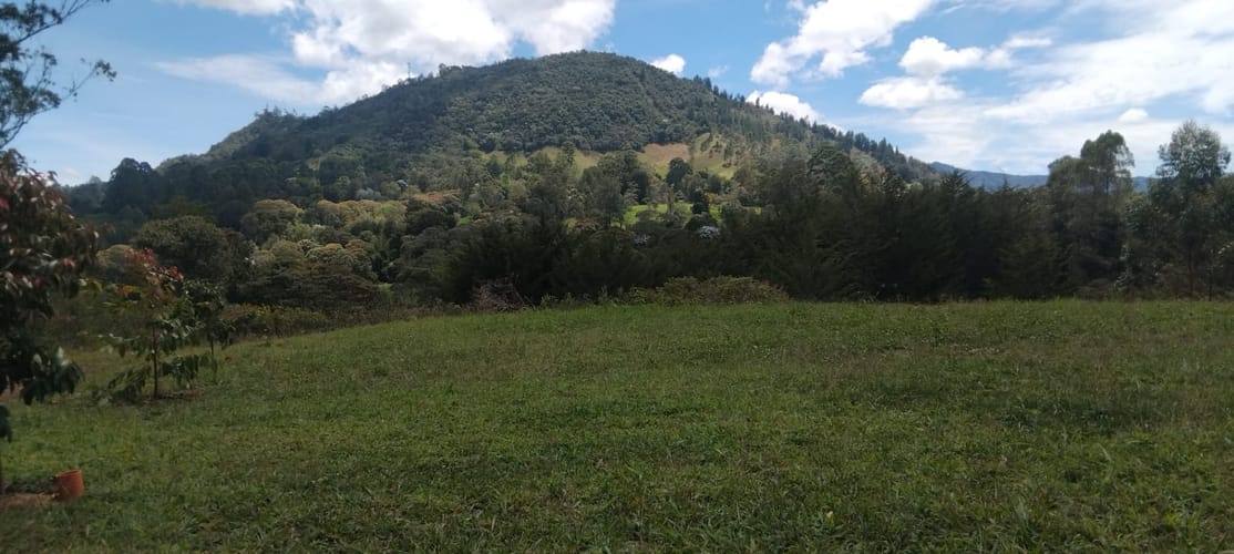 Casa de 4 alcobas en arriendo en San Nicolas, La Ceja, 200 m² · foto 19 de 24