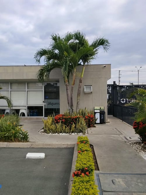 Casa de 3 alcobas en venta en Ciudad Country, Jamundí, 117 m² · foto 5 de 16