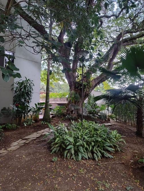 Apartamento de 3 alcobas en venta en Santa Anita, Cali, 98 m² · foto 14 de 22
