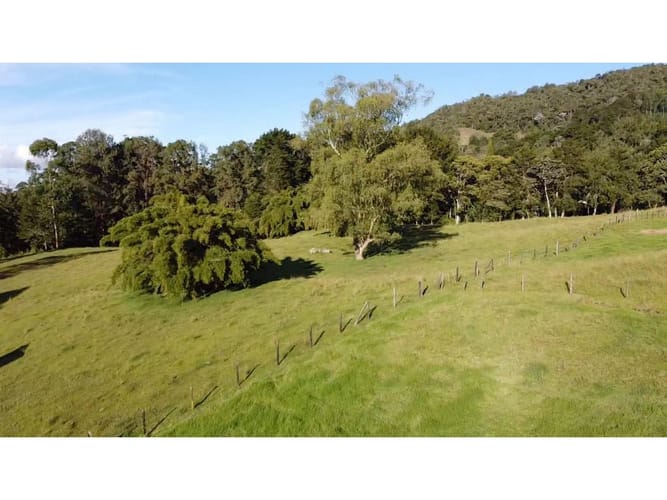 Apartamento en arriendo en Llano Grande, Rionegro · foto 4 de 11