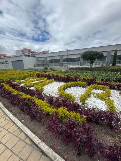 Apartamento de 3 alcobas en arriendo en Parque Industrial Santo Domingo, Mosquera, 74 m² · foto 3 de 24