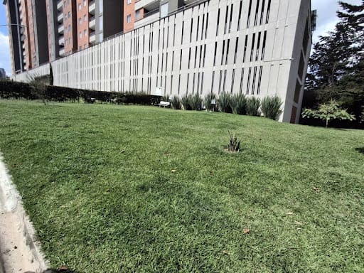 Apartamento de 2 alcobas en arriendo en Rionegro, 54 m² · foto 15 de 17