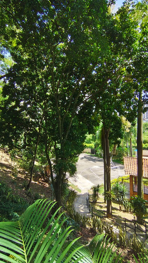 Casa de 3 alcobas en venta en Cañaveral, Floridablanca · foto 9 de 12