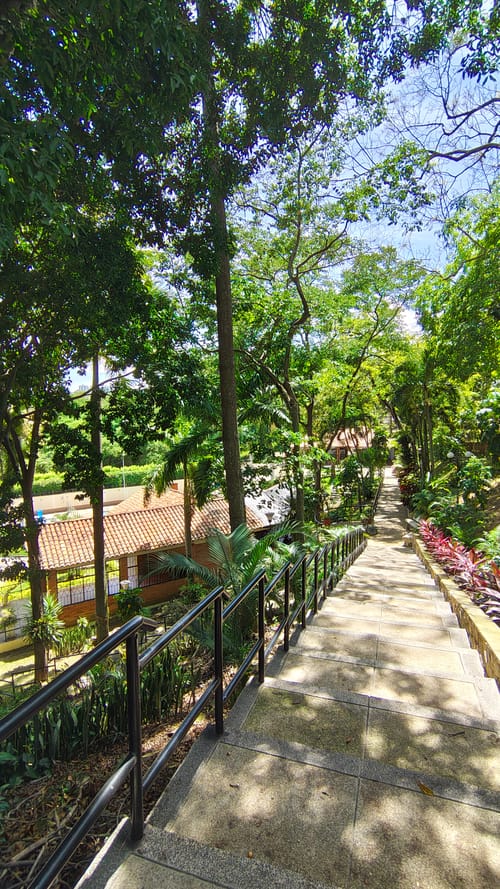 Casa de 3 alcobas en venta en Cañaveral, Floridablanca · foto 11 de 12