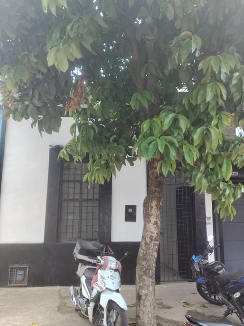 Casa de 3 alcobas en venta en Chapinero, Bucaramanga, 240 m² · foto 5 de 11
