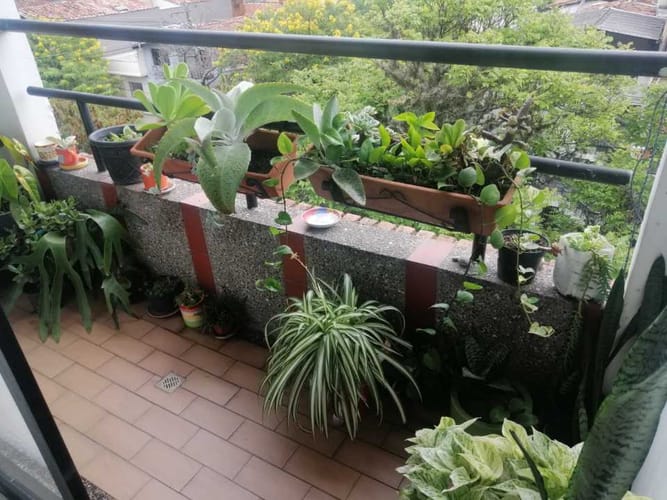 Apartamento de 3 alcobas en venta en Santa Mónica, Medellín, 98 m² · foto 5 de 13