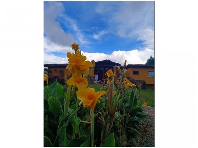 Casa de 3 alcobas en venta en Urquita, Medellín, 460 m² · foto 21 de 24
