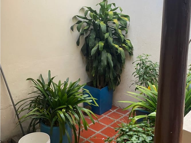 Casa de 6 alcobas en venta en Fatima, La Ceja, 282 m² · foto 5 de 15
