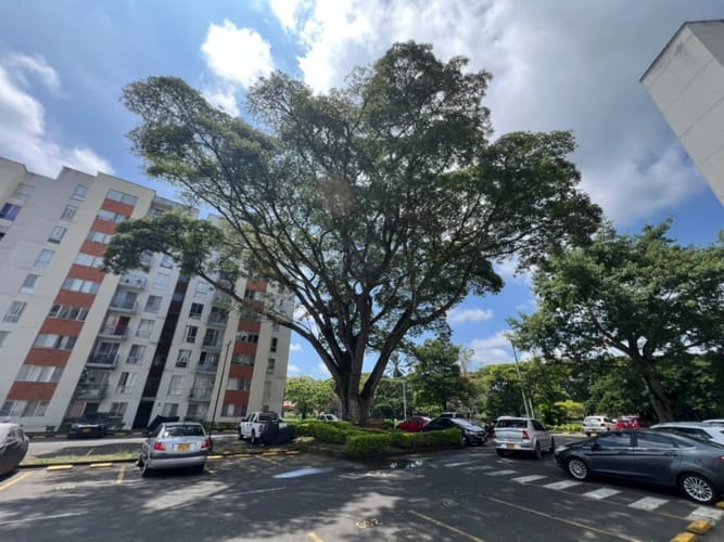 Apartamento de 2 alcobas en arriendo en Cr. Los Naranjos, Jamundí, 72 m² · foto 17 de 24