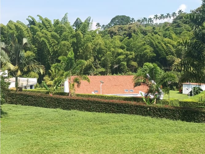 Casa de 4 alcobas en arriendo en San Bernardo Del Viento, Manizales, 300 m² · foto 22 de 24