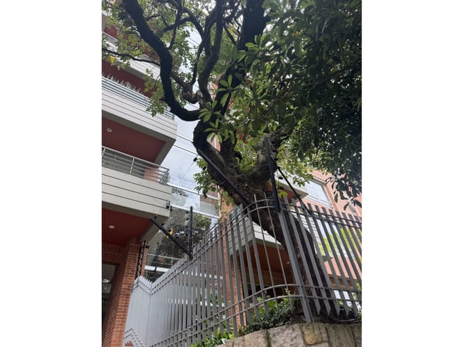 Apartamento de 3 alcobas en venta en Los Rosales, Bogotá, 210 m² · foto 17 de 17