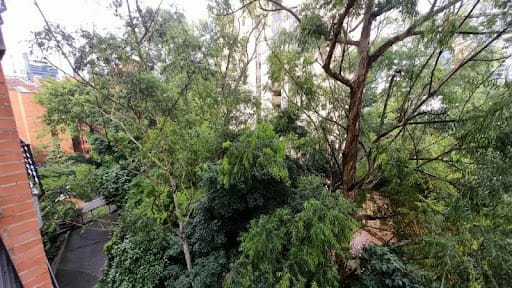 Apartamento de 2 alcobas en arriendo en Milla De Oro, Medellín, 80 m² · foto 15 de 16