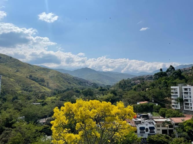 Apartamento de 4 alcobas en arriendo en Santa Teresita, Cali, 181 m² · foto 5 de 24