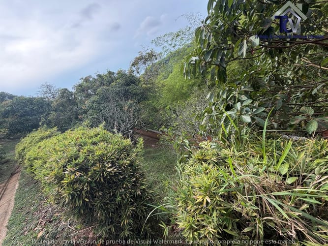 Casa de 8 alcobas en venta en Lagos Del Cacique, Bucaramanga, 660 m² · foto 15 de 18