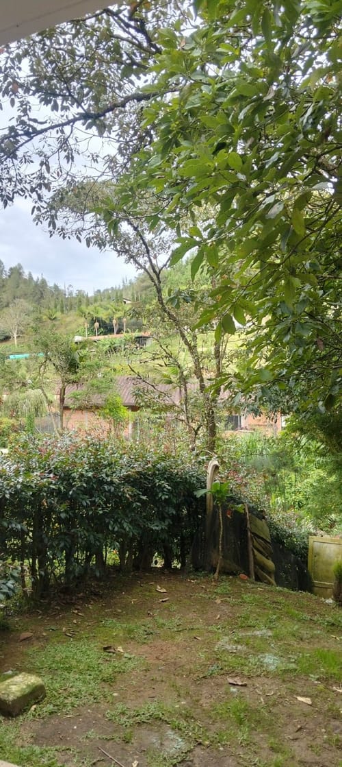 Casa de 4 alcobas en arriendo en Pantanillo, El Retiro, 120 m² · foto 15 de 15