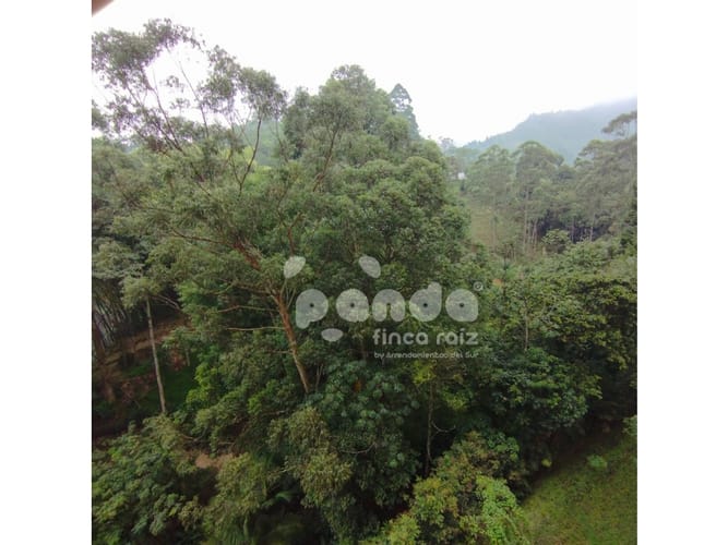 Apartamento de 2 alcobas en arriendo en Caqueta, La Estrella, 54 m² · foto 19 de 19