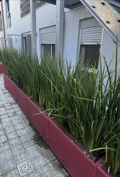 Exclusivo apartamento a estrenar en alquiler, 2 dormitorios en planta baja, estratégicamente ubicado en Carlos María Ramírez y Camambú, La Teja. · Foto 3
