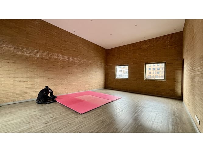 Apartamento de 2 alcobas en arriendo en Chico Norte, Bogotá, 188 m² · foto 12 de 13