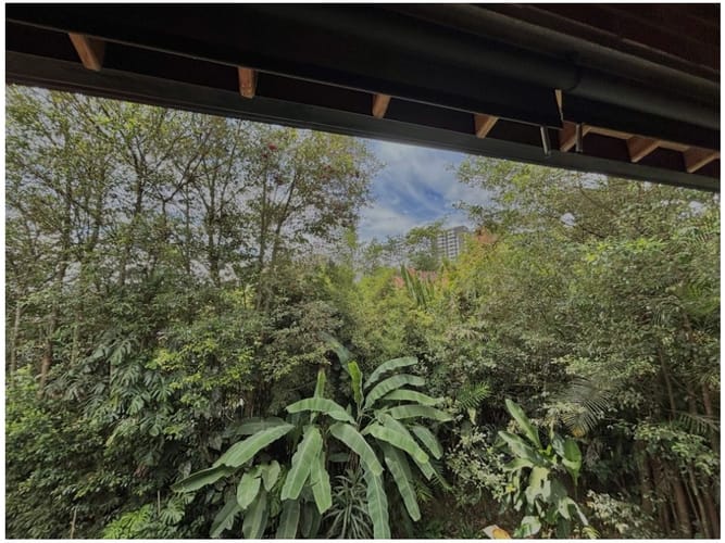 Casa de 3 alcobas en venta en Vía Las Palmas, Medellín, 290 m² · foto 20 de 20