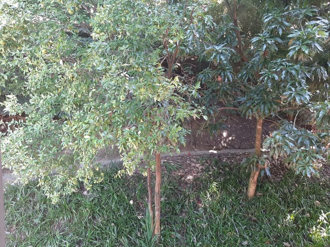 Apartamento de 3 alcobas en venta en Colombia, Medellín, 137 m² · foto 16 de 18