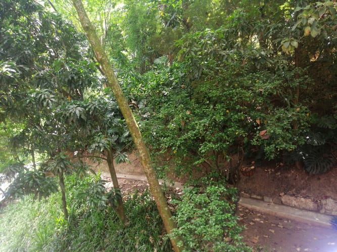 Apartamento de 3 alcobas en venta en Colombia, Medellín, 137 m² · foto 18 de 18