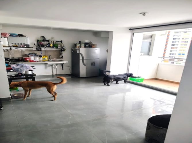 Apartamento de 3 alcobas en venta en Bellavista, Bello, 54 m² · foto 5 de 9