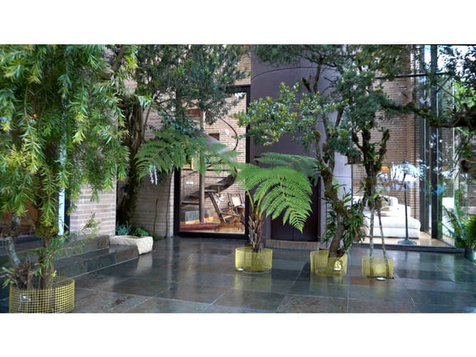 Casa de 3 alcobas en venta en Fusca, Chía, 826 m² · foto 7 de 24