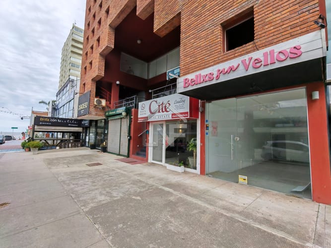 Local comercial en alquiler en Punta del Este · Foto 3