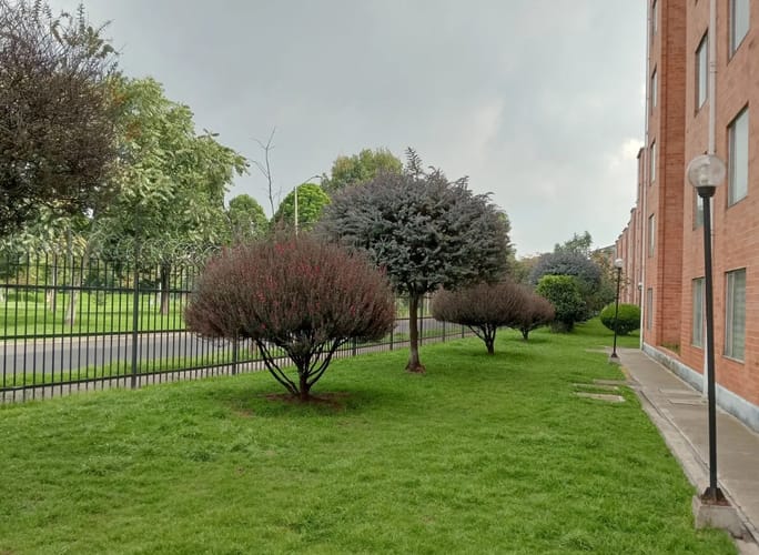 Apartamento de 3 alcobas en arriendo en El Cortijo, Bogotá, 73 m² · foto 8 de 20