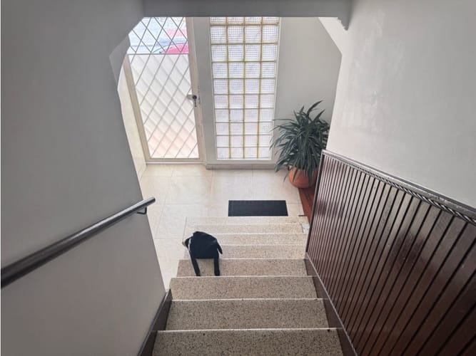 Apartaestudio en arriendo en Santa Isabel Sur, Bogotá, 10 m² · foto 5 de 13