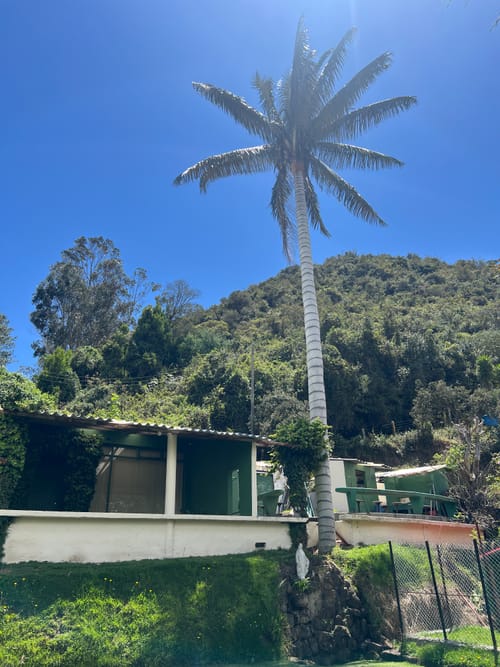Apartamento de 1 alcoba en arriendo en El Rodeo, La Calera, 350 m² · foto 2 de 20