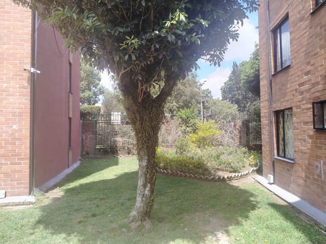 Apartamento de 3 alcobas en arriendo en Bochica, Bogotá, 70 m² · foto 6 de 19