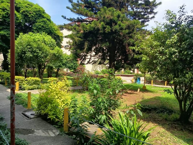 Apartamento de 3 alcobas en arriendo en Cañaverales, Cali, 60 m² · foto 9 de 11