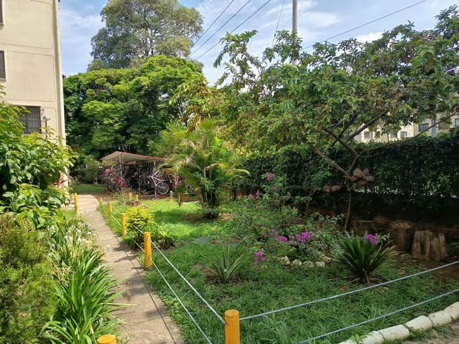 Apartamento de 3 alcobas en arriendo en Cañaverales, Cali, 60 m² · foto 10 de 11