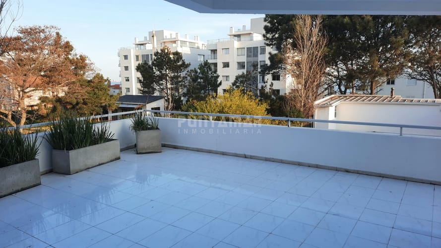 ALQUILER ANUAL DE APARTAMENTO DE TRES DORMITORIOS FRENTE A LA MANSA · Foto 2
