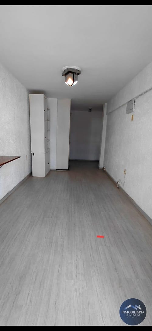 Apartamento 1D en alquiler en Punta Carretas · Foto 3