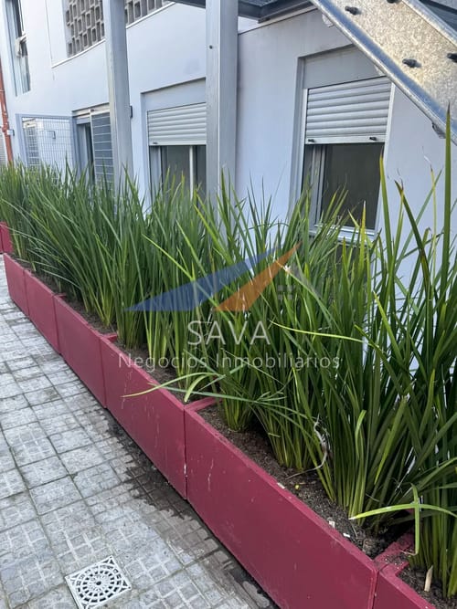 Alquiler Apartamento 2 Dormitorios  en La Teja! A estrenar! · Foto 8