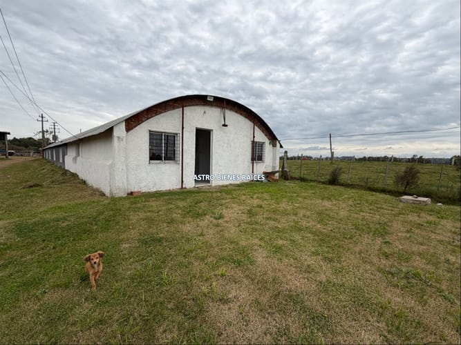 GALPÓN CON CASA EN ALQUILER MELO · Foto 4