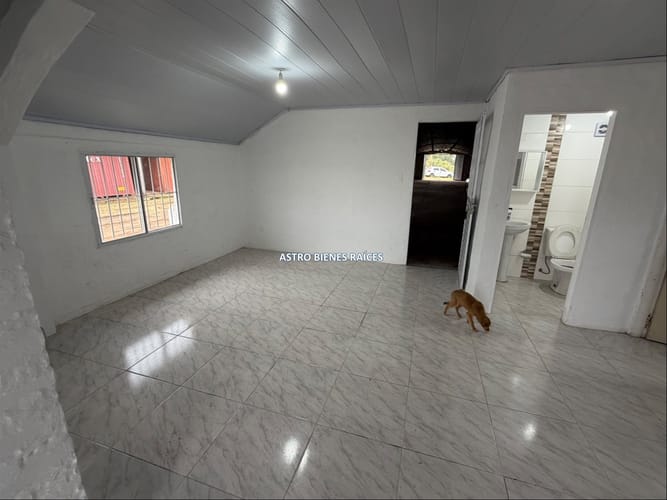 GALPÓN CON CASA EN ALQUILER MELO · Foto 7