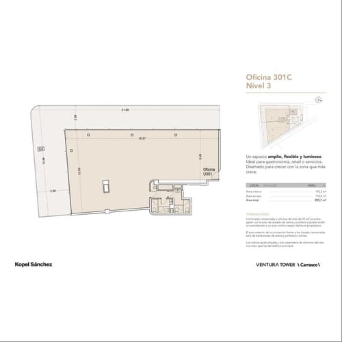 LOCAL COMERCIAL - OFICINA EN VENTURA CARRASCO - ULTIMO PISO + TERRAZA 110MT2 · Foto 6