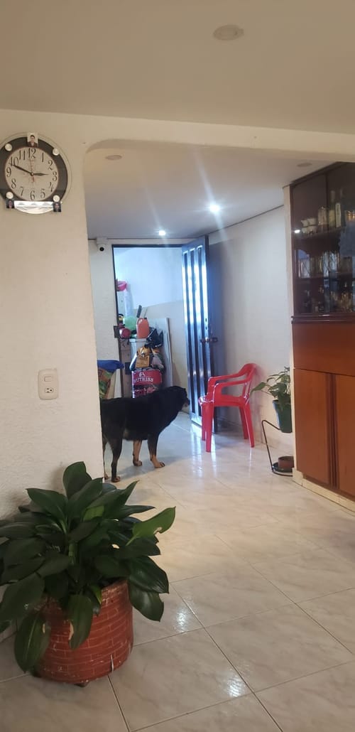 Casa de 6 alcobas en venta en Villa Alsacia 2, Bogotá, 99 m² · foto 4 de 24