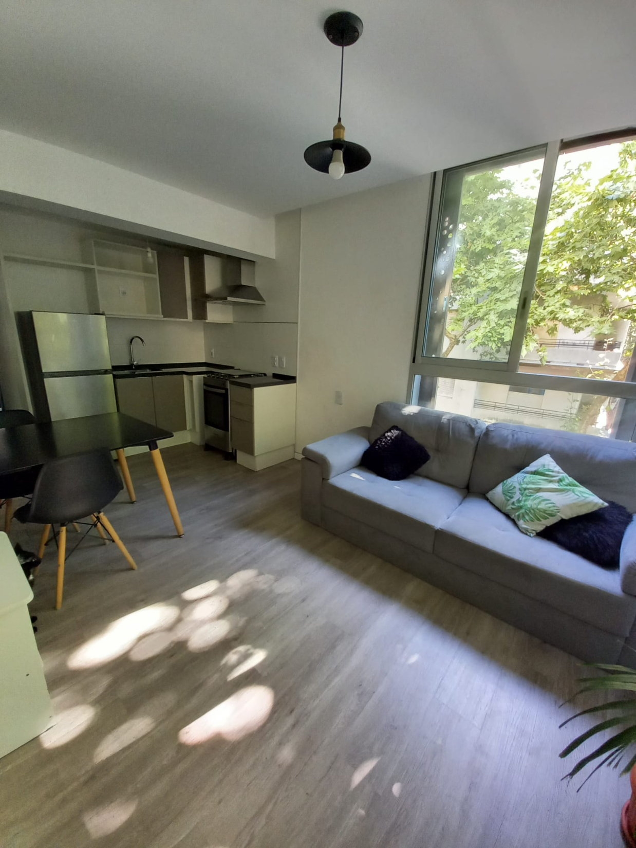 GUTIERREZ RUIZ Y SAN JOSE, ESQUINA, TODO EXTERIOR, SE VENDE CON RENTA!! - Aanzicht 3