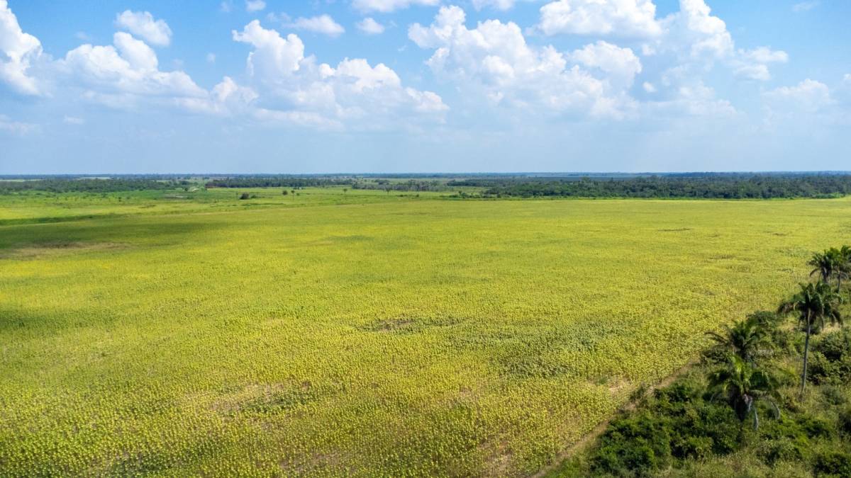 Propiedad Agricola En San Julian Tc 7 