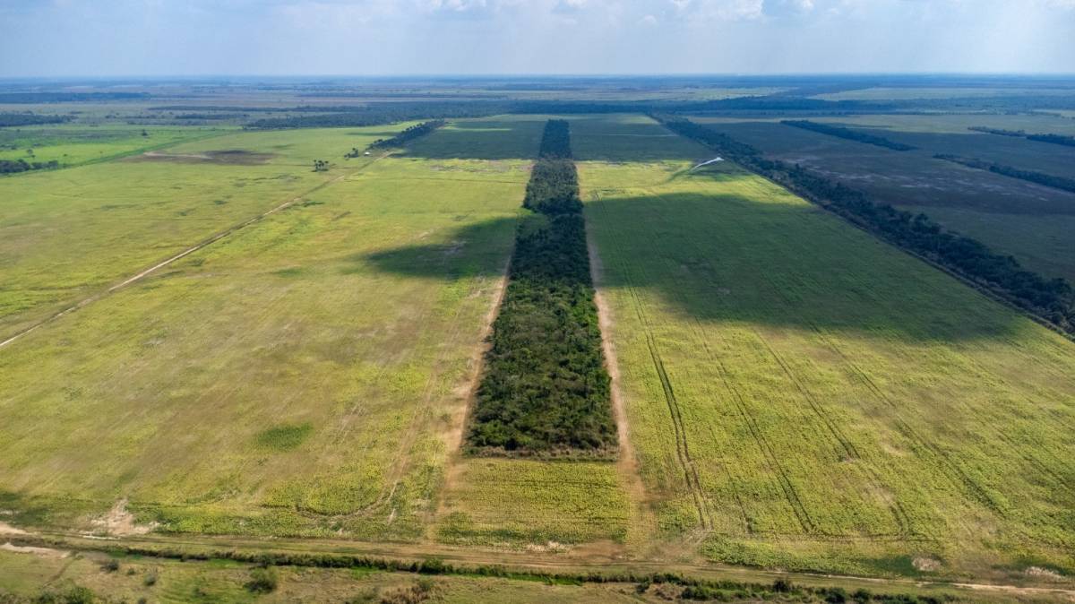 Propiedad Agricola, Municipio San Julian Km16