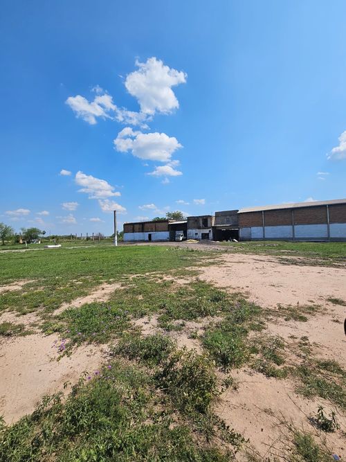 VENDO 12 HECTAREAS EN VILLA HAYES CON TINGLADO DE 1100M2. Ref #Z54E83
